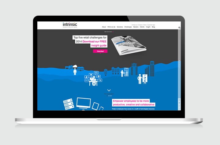 Our website for Intrinsic: Enablers of Business Agility